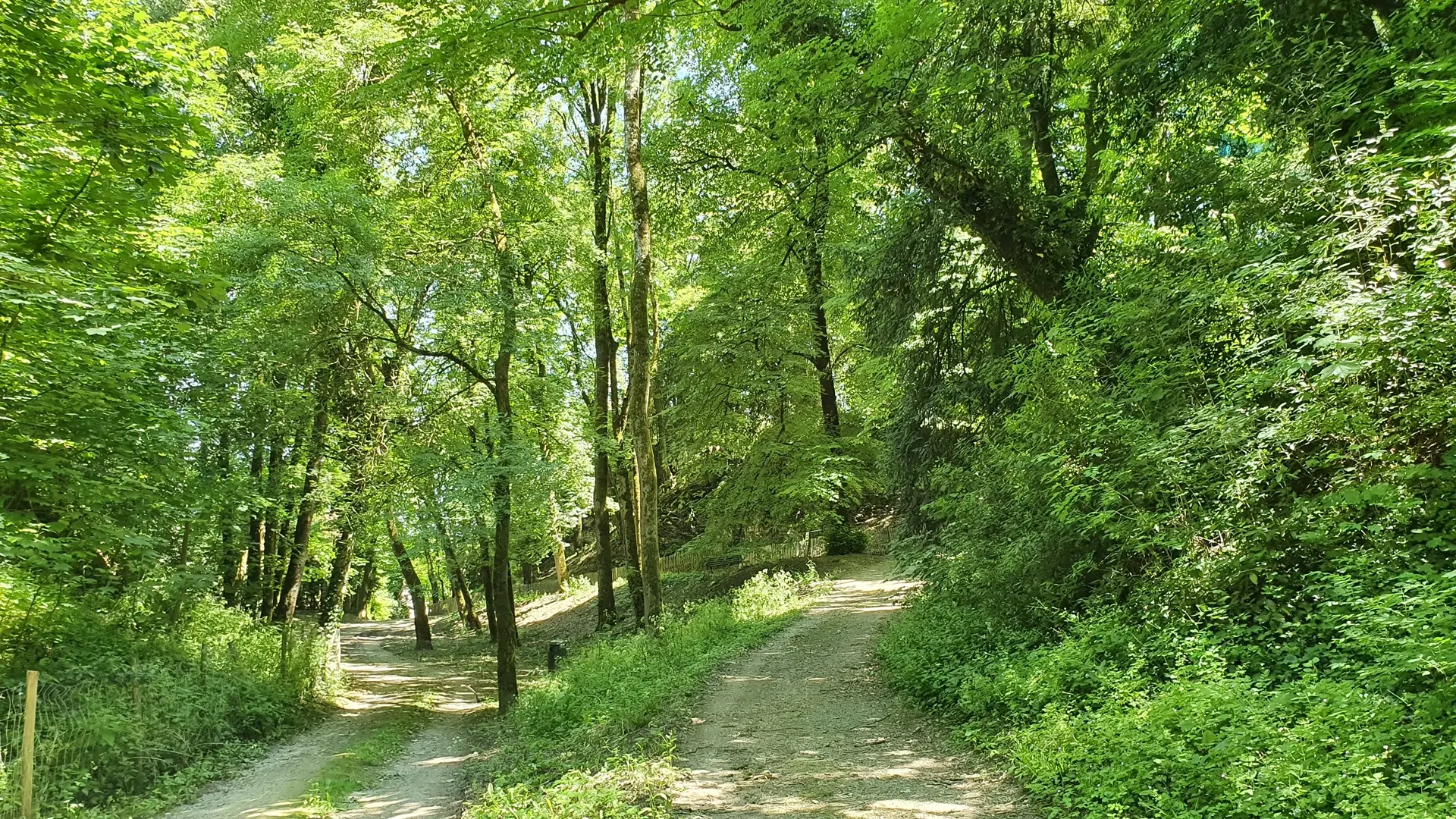 Parc Baron Fontenay-le-Comte 85-6