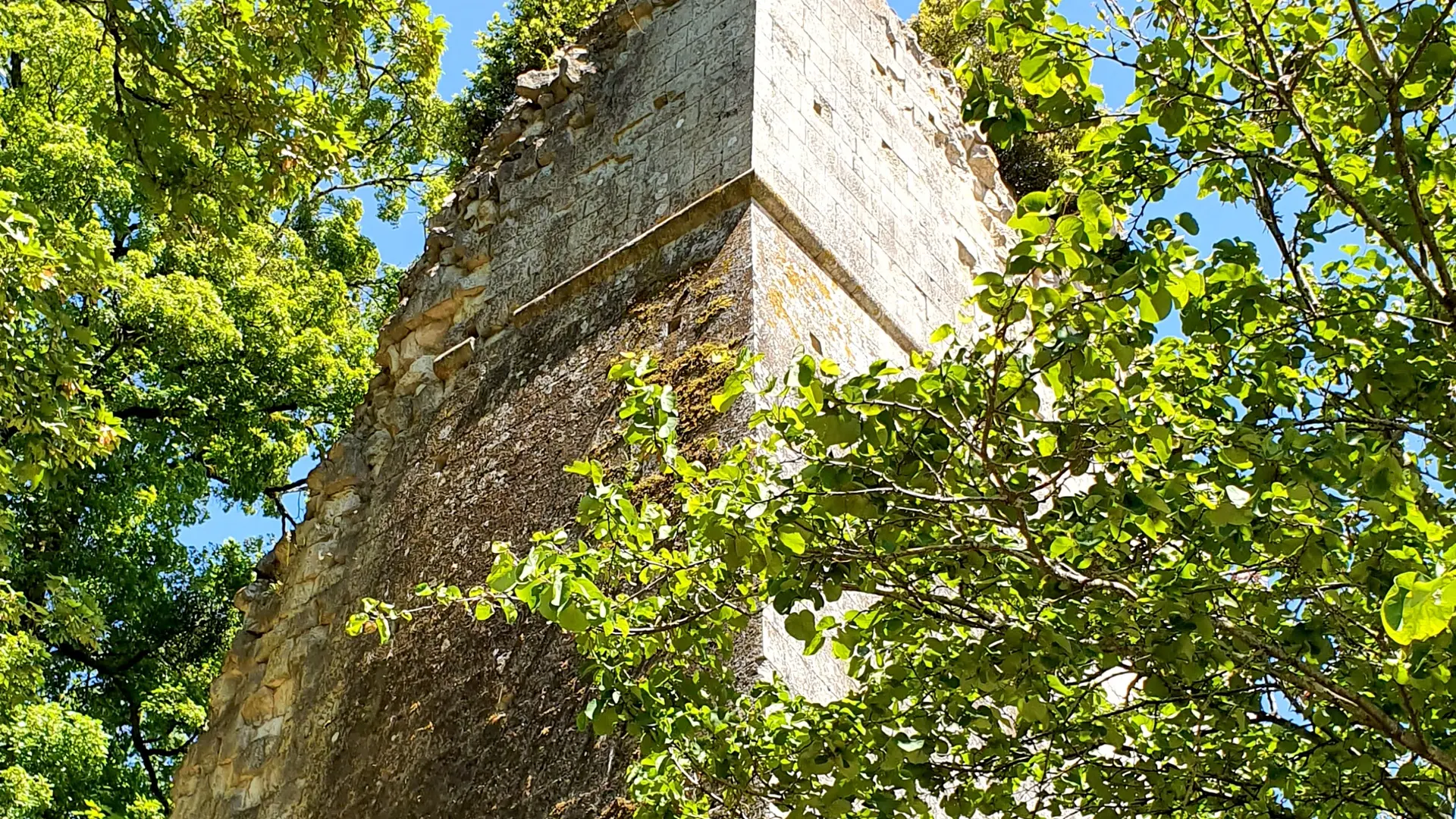 Parc Baron Fontenay-le-Comte 85-7