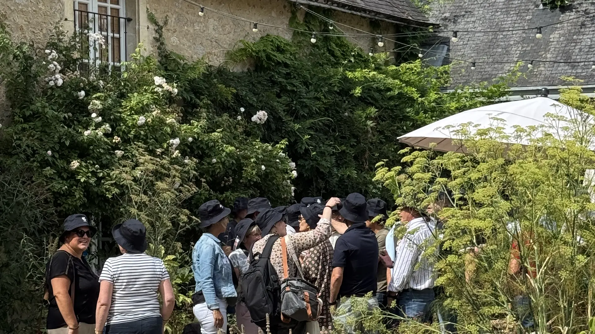 PauseDéjeuner