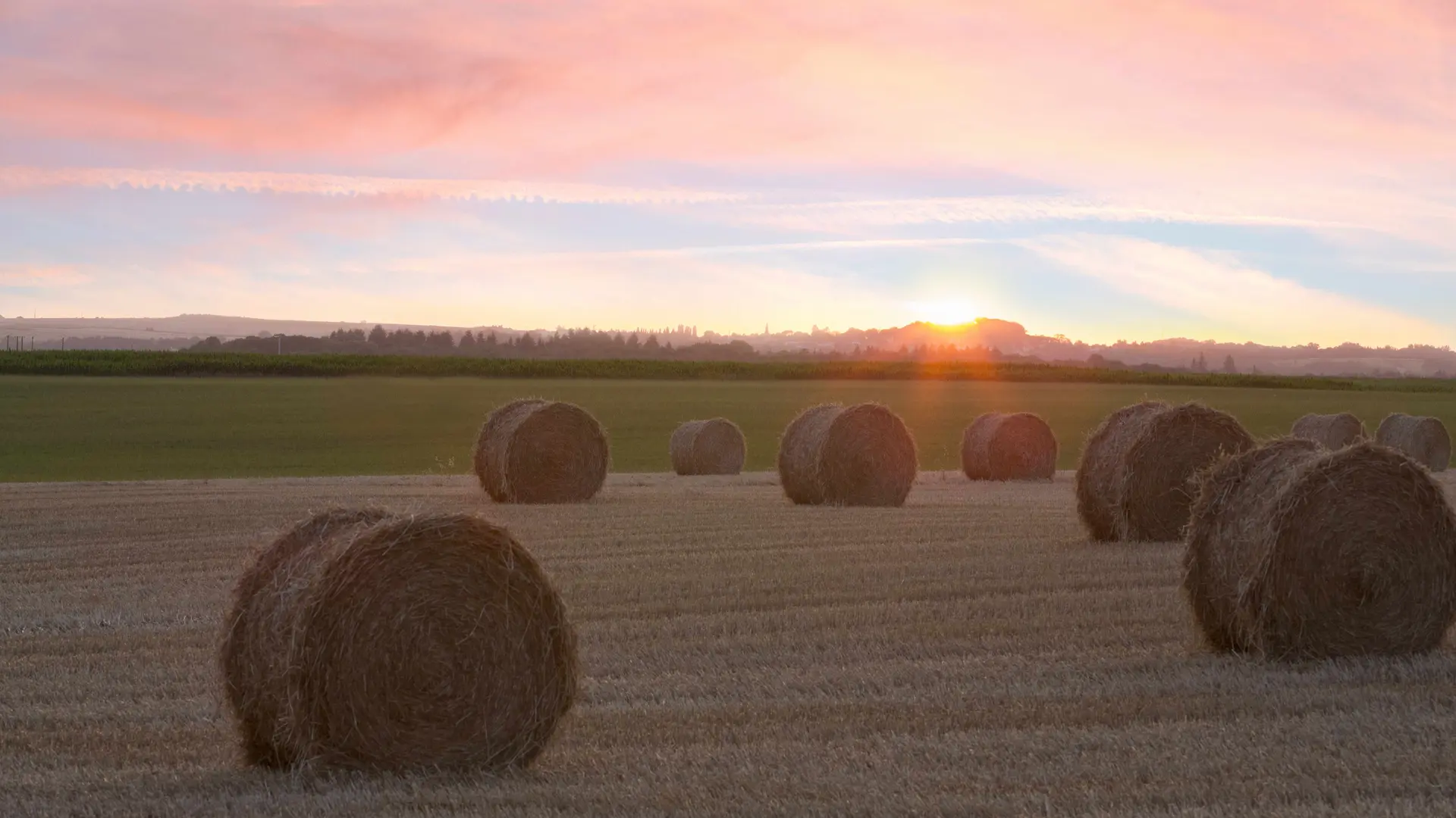 Paysage de campagne ©Mehdi Media pour Sud Vendée Tourisme 2015