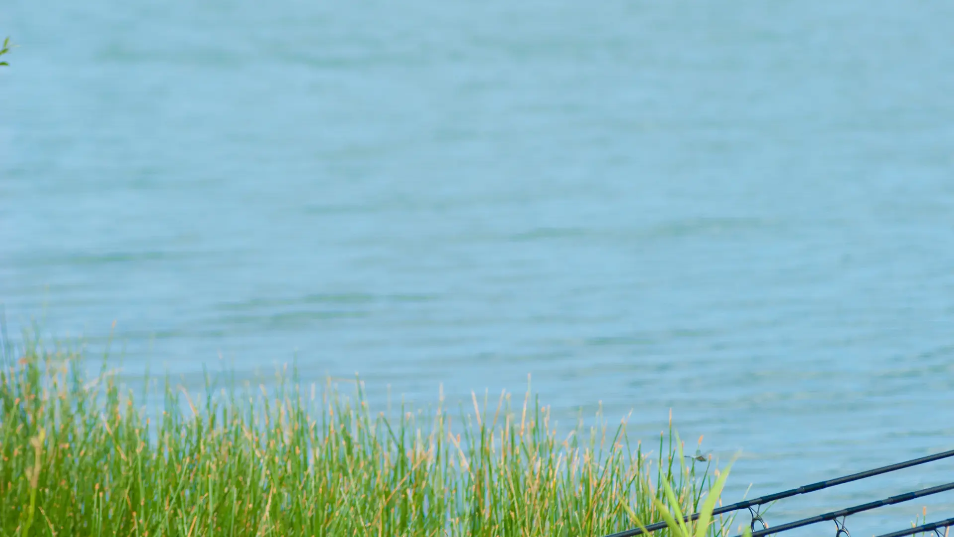 Pêche base de loisirs de la Monnerie_la Fleche