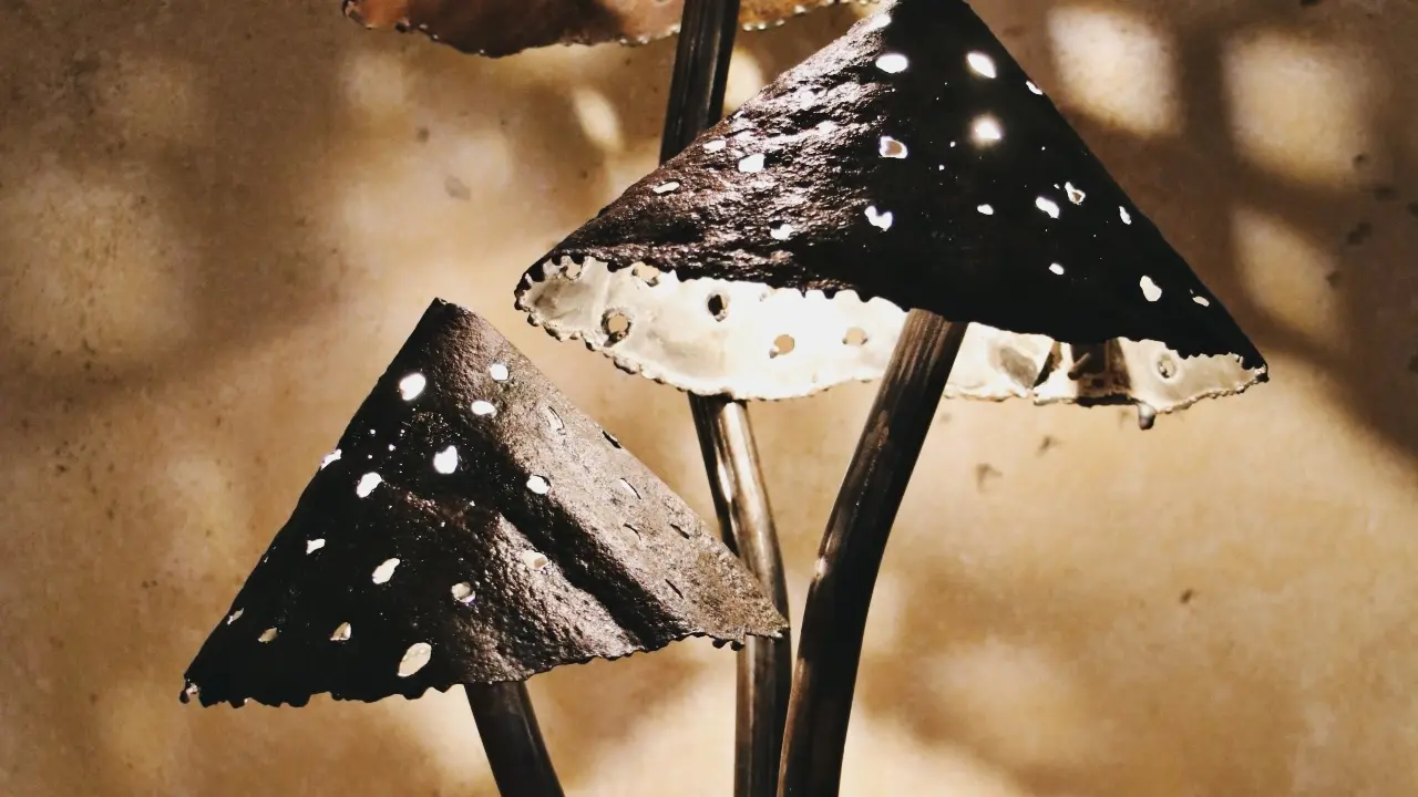 PicsArt_12-21-10.29.32