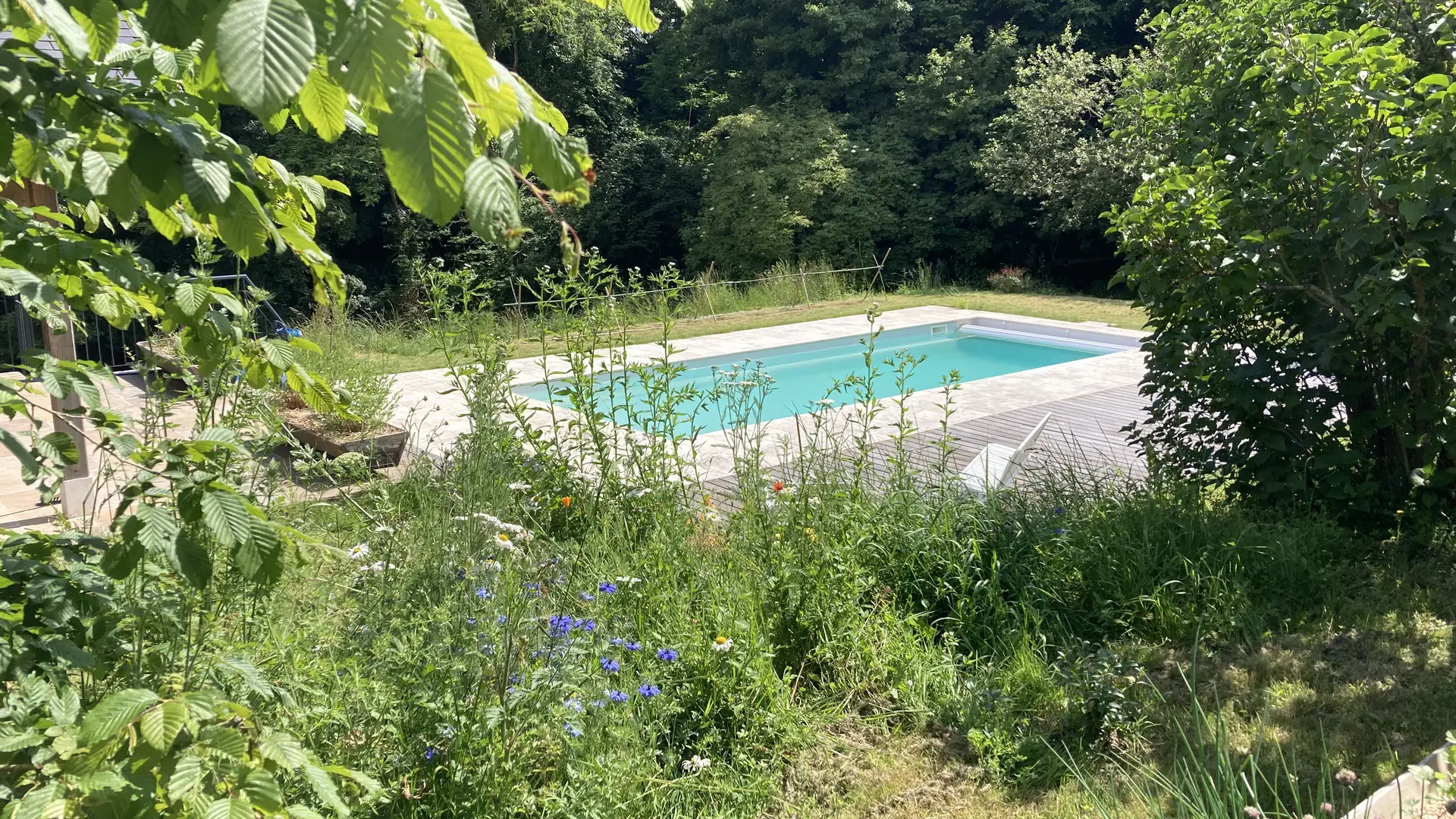 Chambres et table d'hôtes Le Vaux Jouin_Piscine