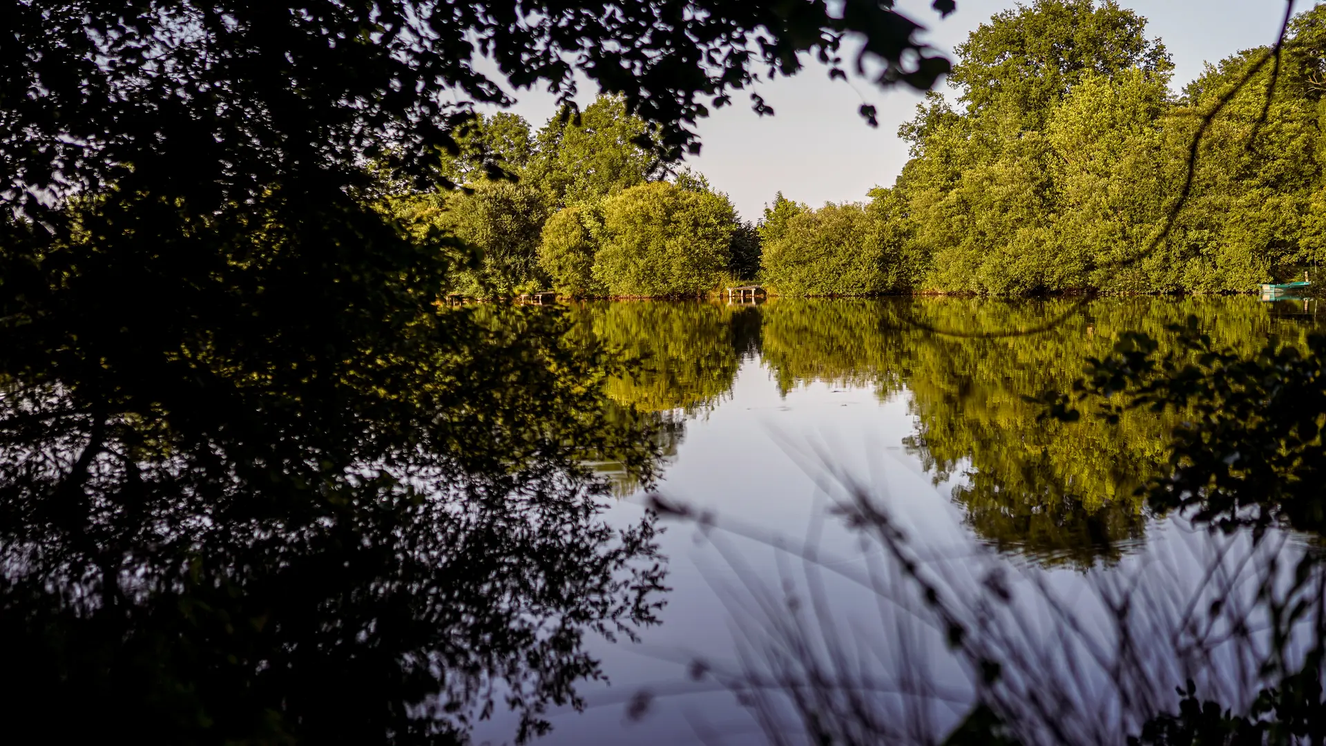 Plan d'eau privé à 200m