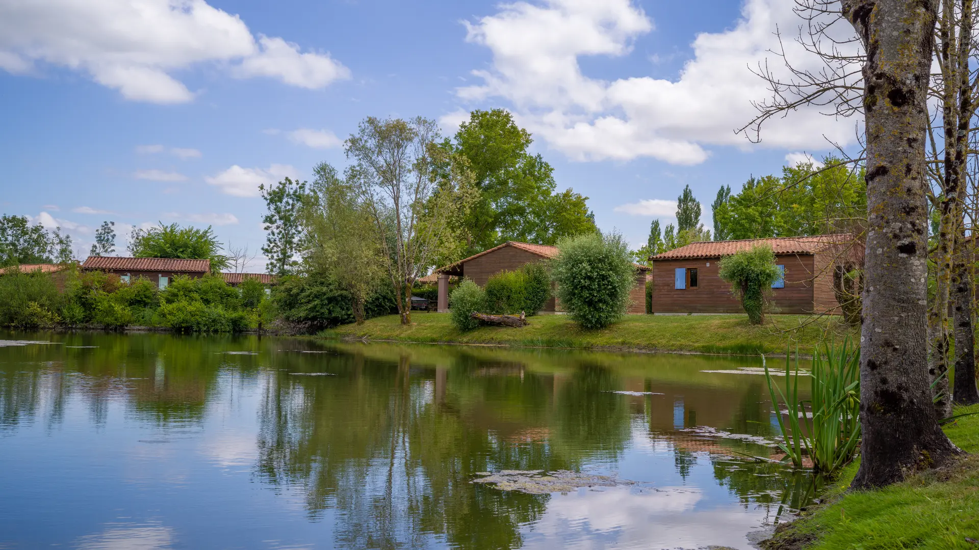 Plan d'eau avec fond hébergements