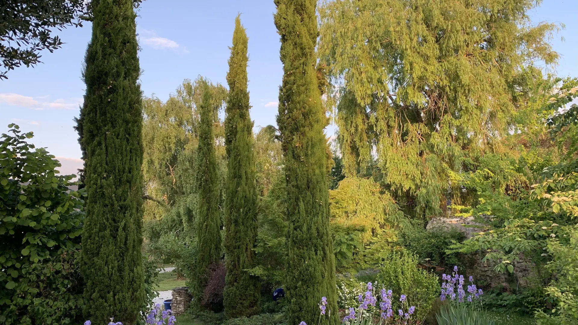 Chambres d'hôtes La Basse Cour - Ancinnes - jardin