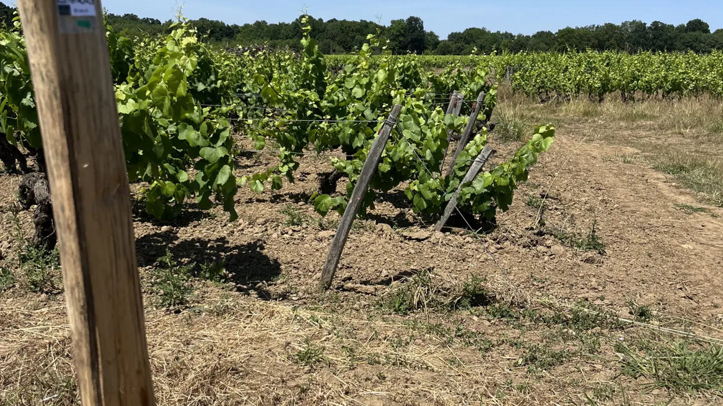 QRCodeDomaineBrégeon