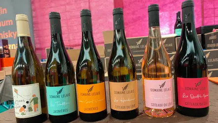 Domaine Lelais_Loir en Vallée