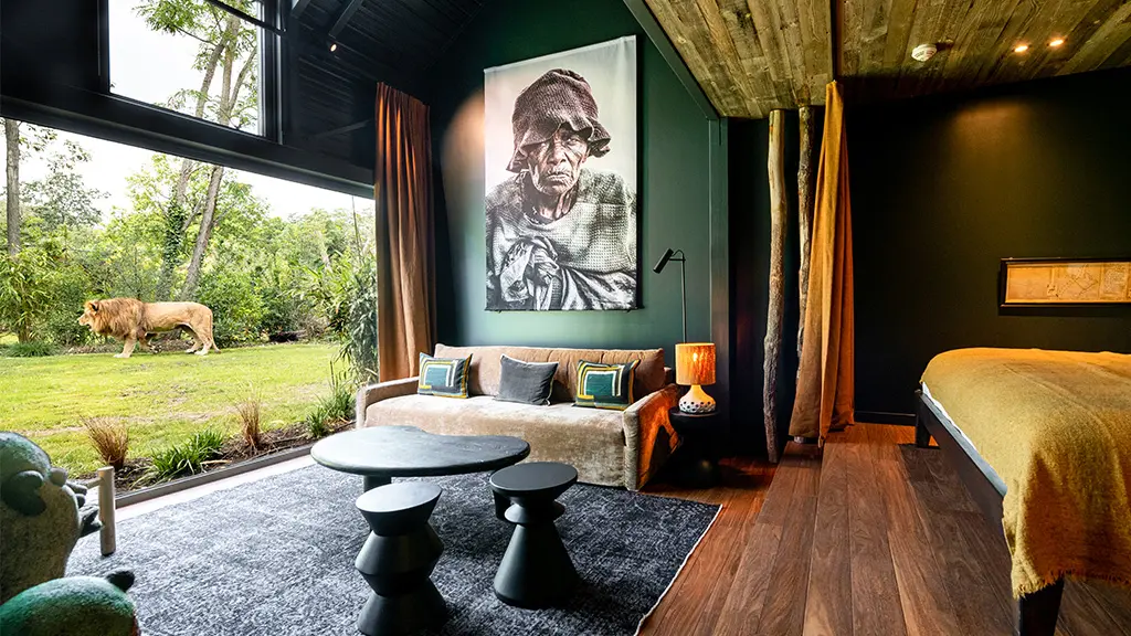 Suite_Premium_Lions_Safari suite_Zoo de la Flèche