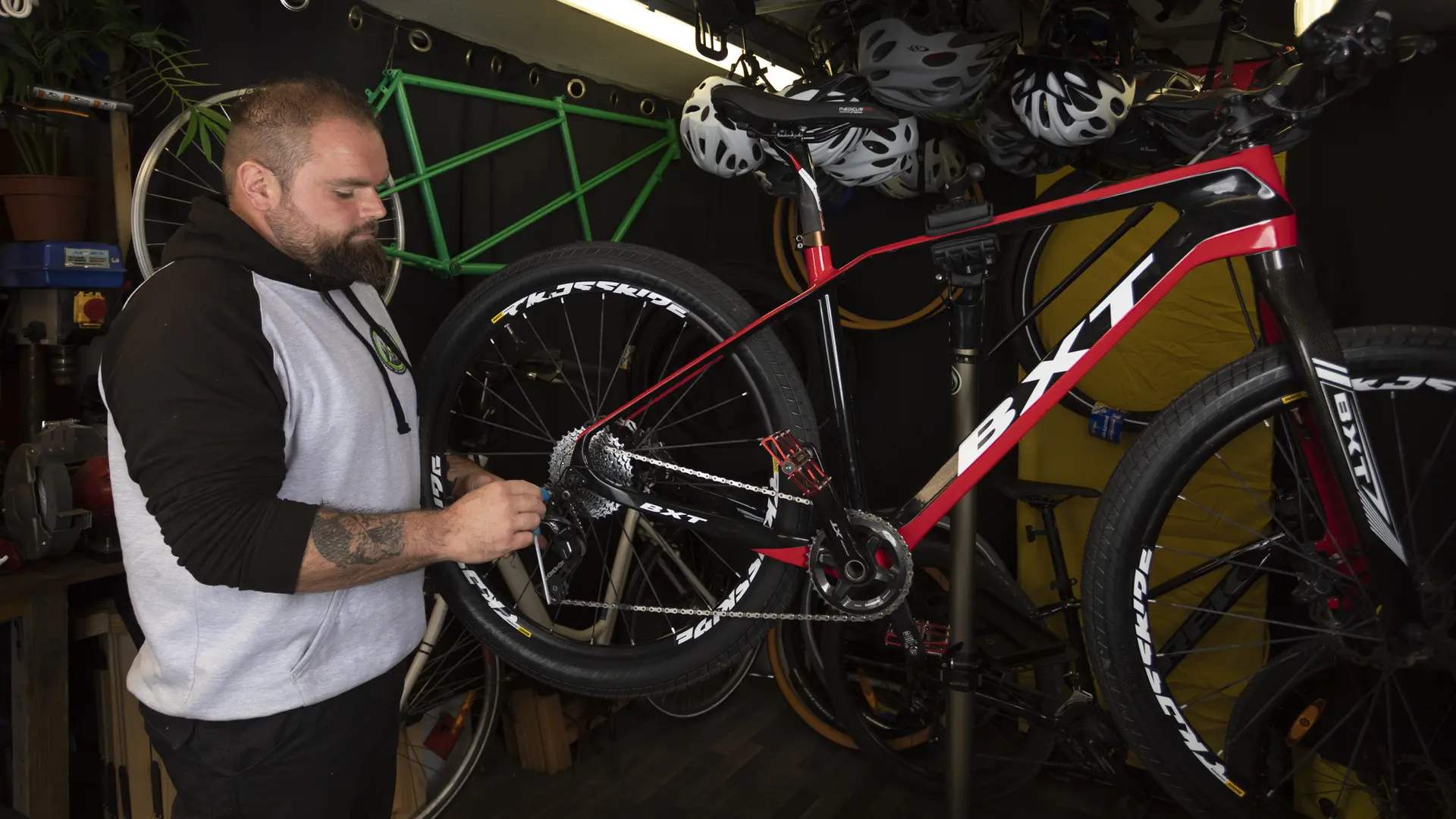 The Green Bike_Loir en Vallée