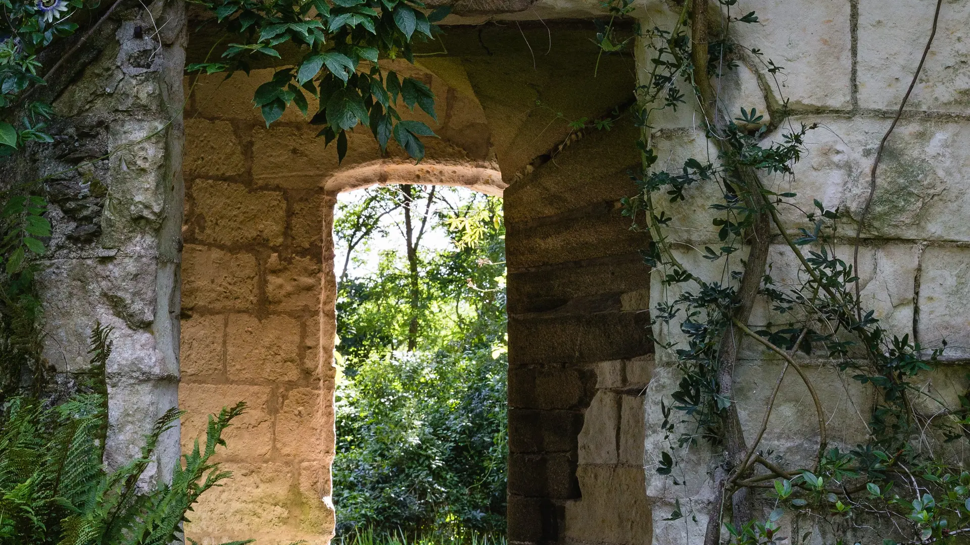 Tour du XV Château de Chasseloir_01originale @PINEAUBERNARD