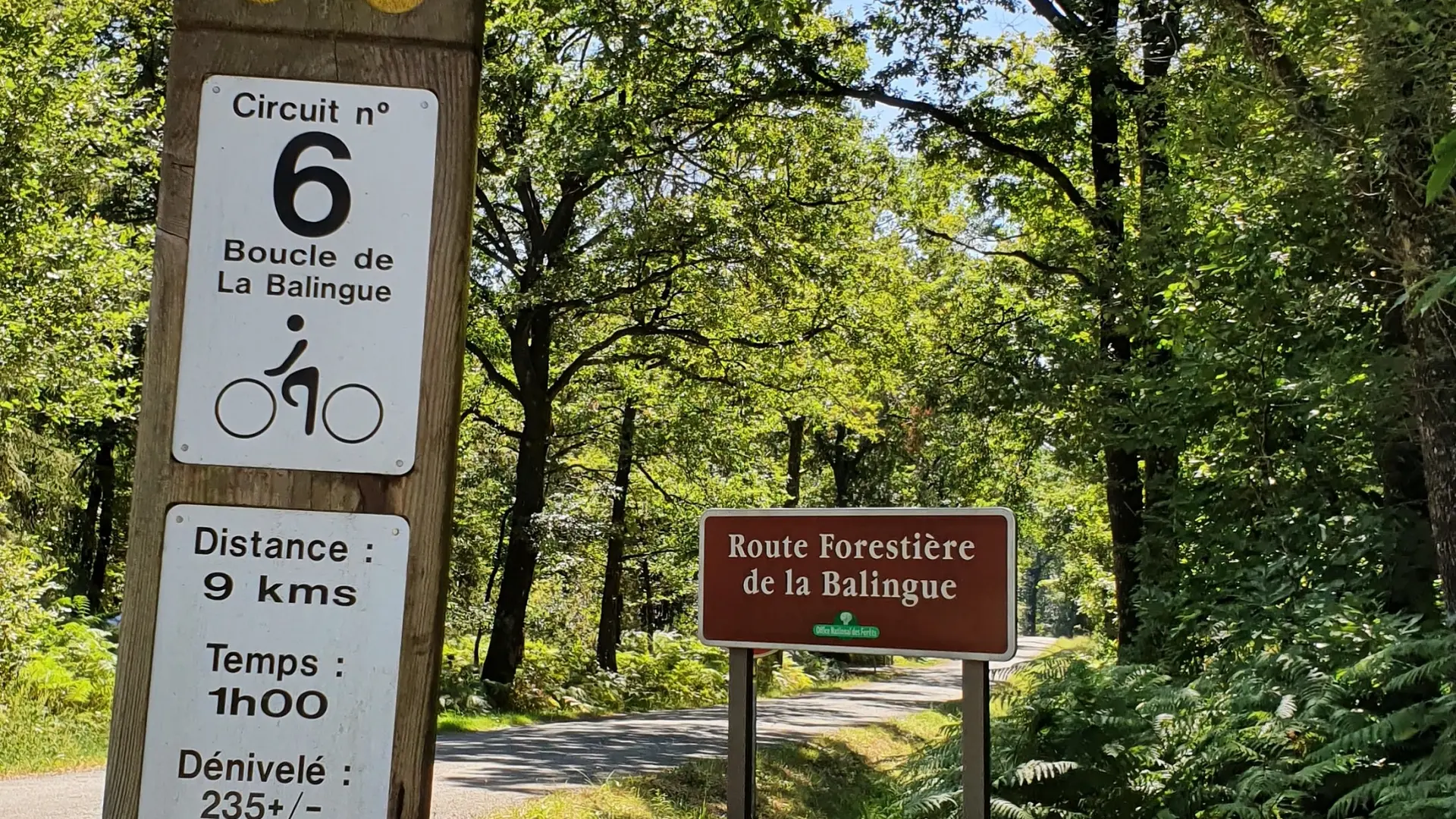 VTT 6 L'Orbrie (2)
