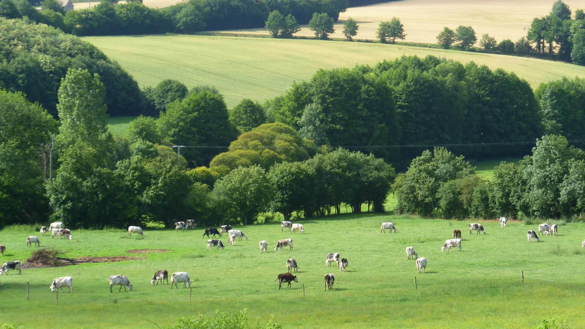 Belle Vallée du loir