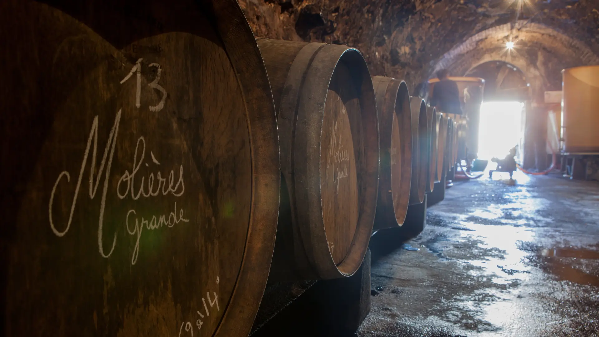 Vendanges_RocheBleue-09-17©D.Sacher-144