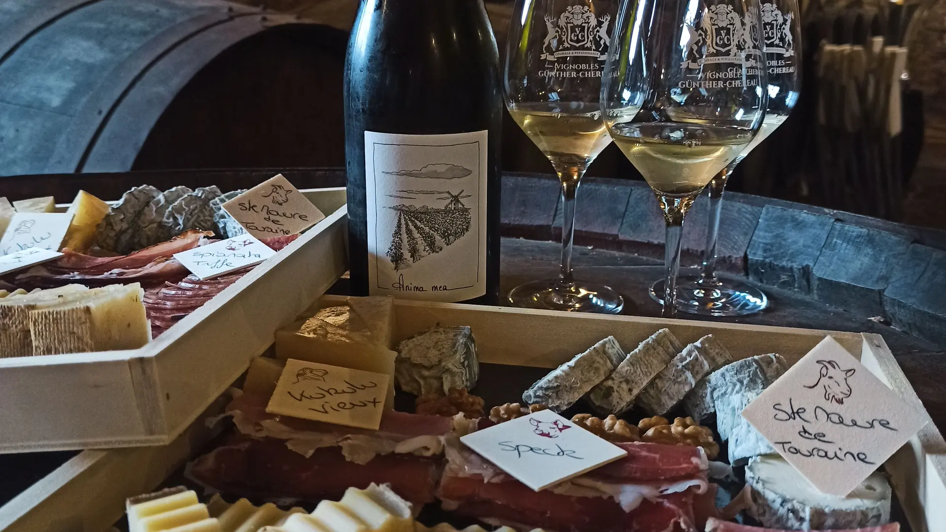 Vins dégustation fromages & vins