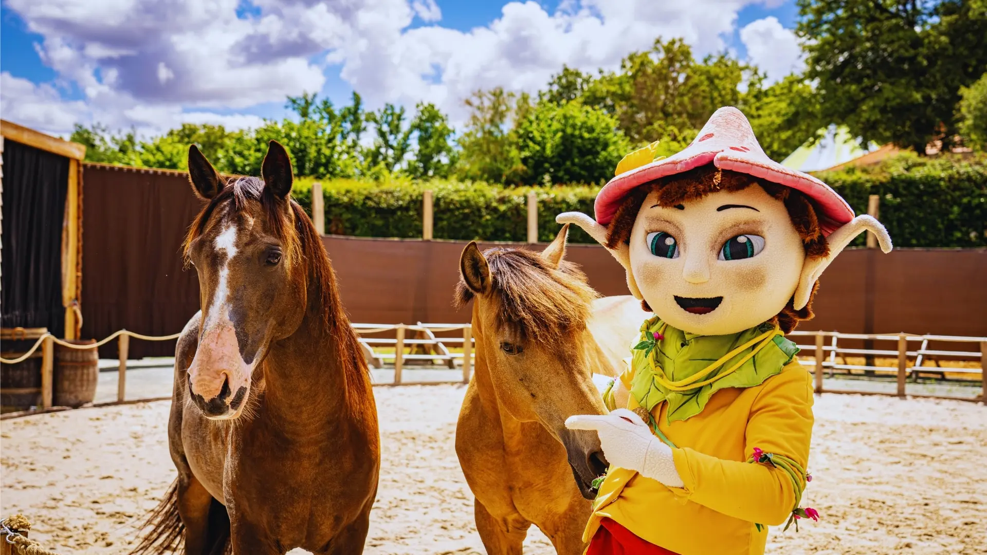 Echo et les chevaux