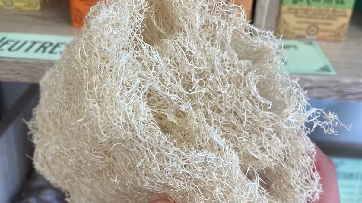 Boutique partagée Lutopia_Luceau