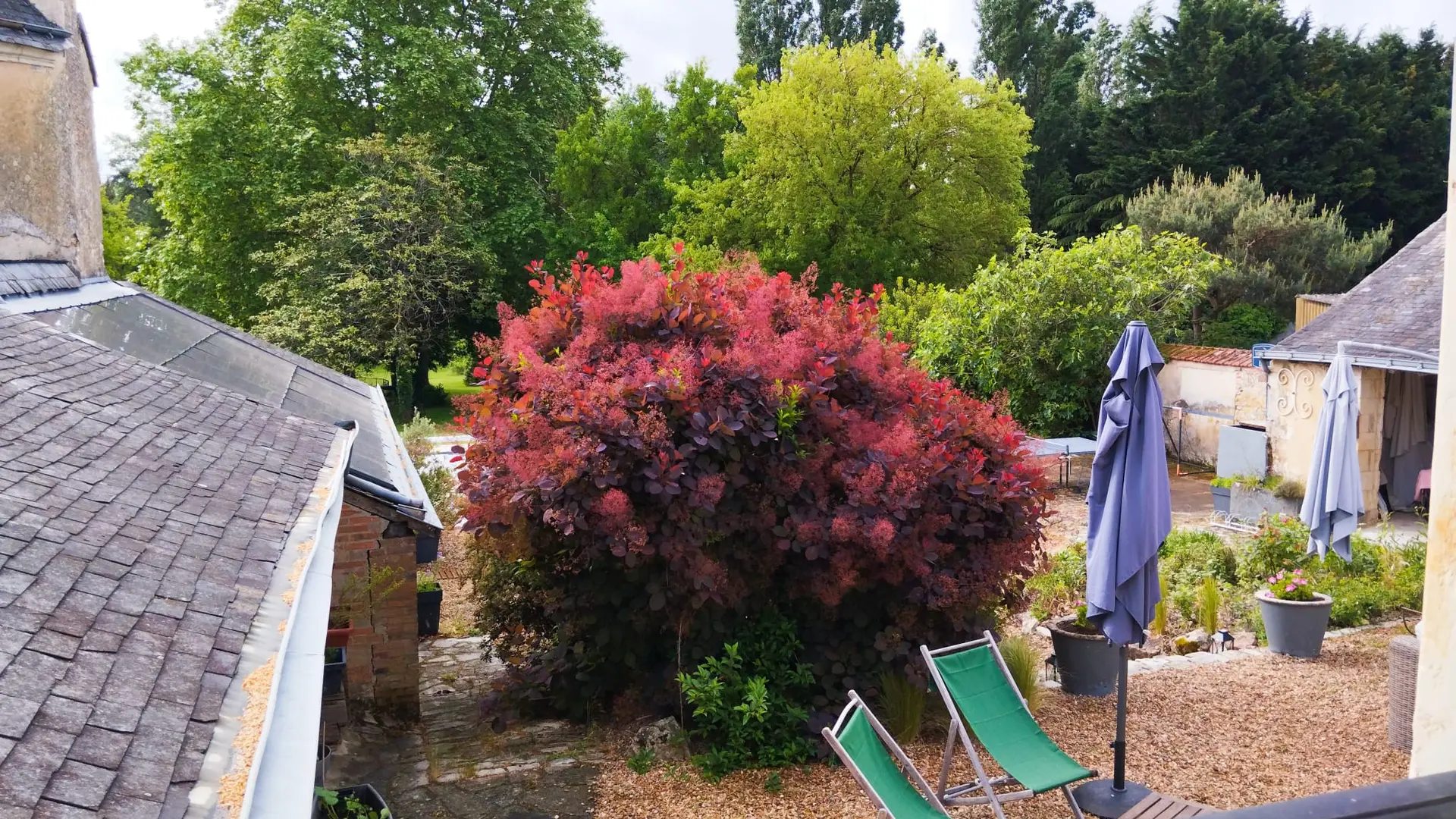 Gîte La Pèlerine 3