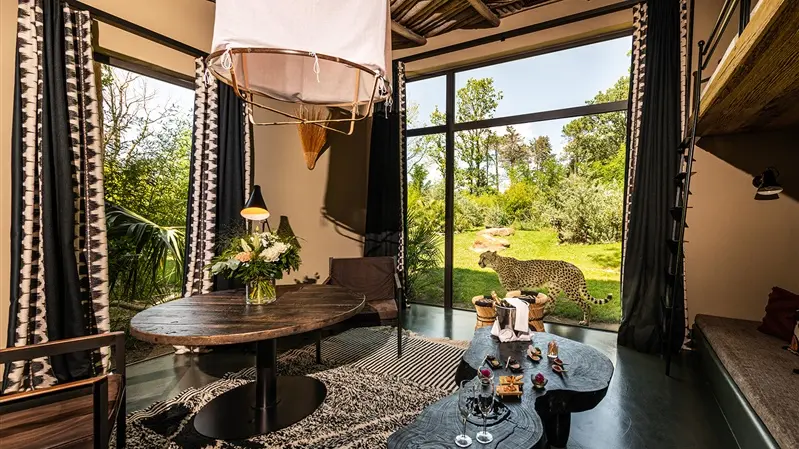 Maasaï Lodge - Univers guépards