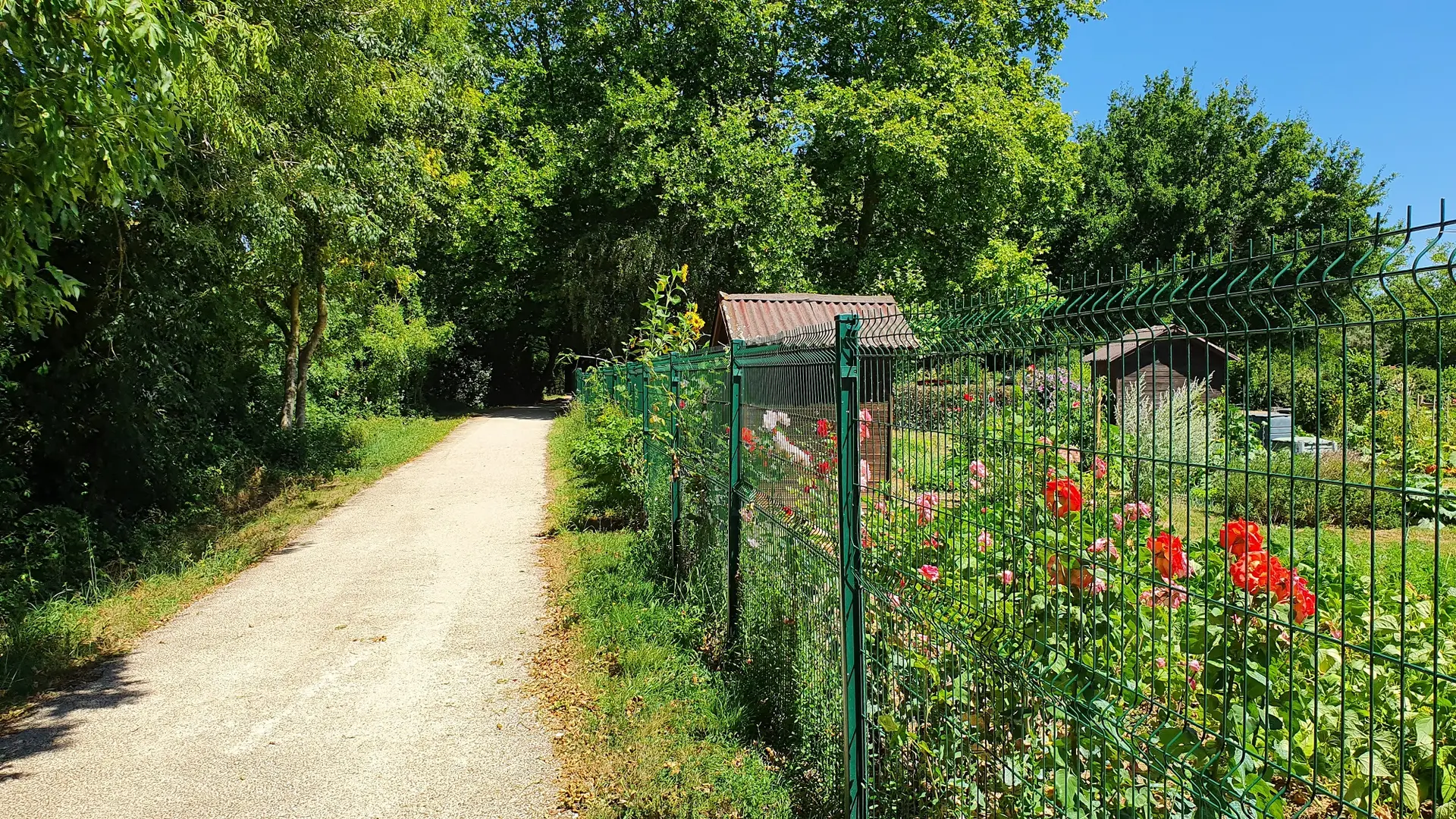 aire-de-pique-transfontenaysienne-jardins-familiaux-fontenay-vendee-85200- (2)