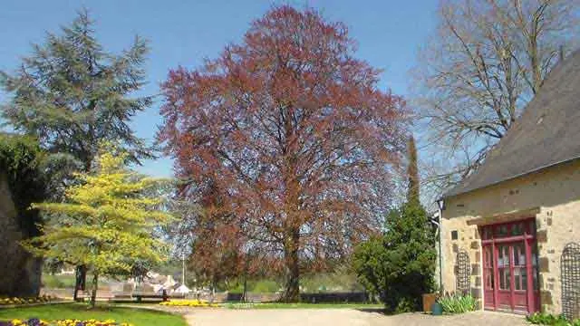 Gîte du Petit Crochet - Fresnay-sur-Sarthe - environnement immédiat