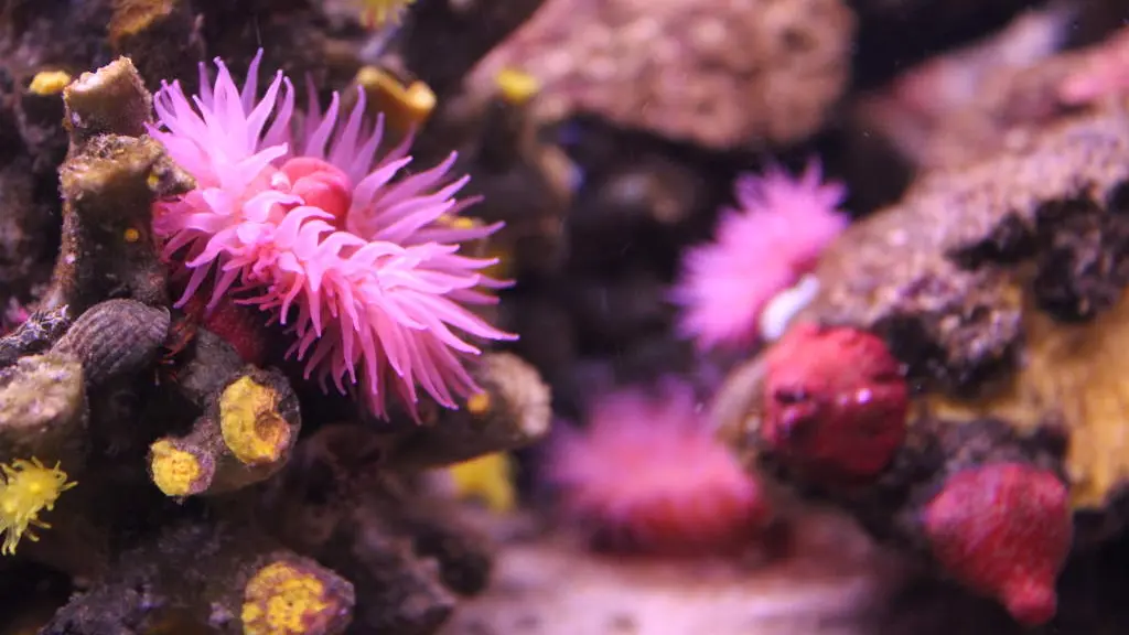 aquarium-vendee-talmont-1