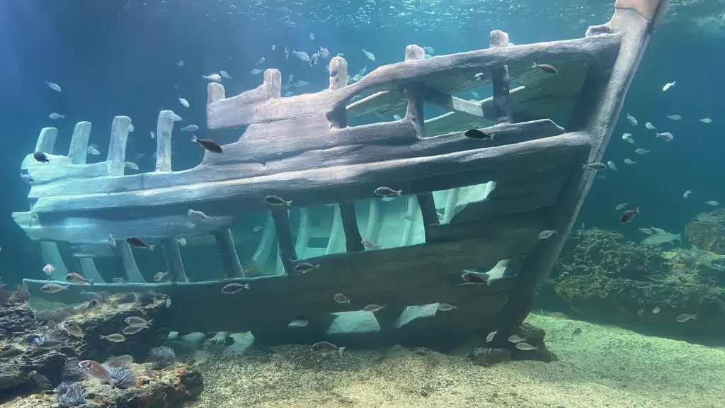 aquarium-vendee-talmont-bourgenay-eclairage-naturel-bassins