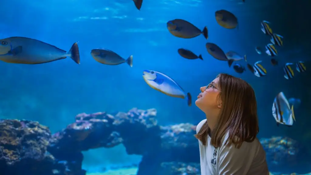 aquarium-vendee-talmont-st-hilaire-pierre-ollier-vendee-expansion