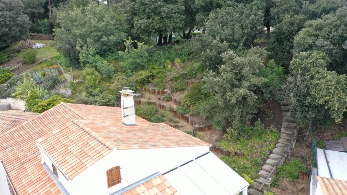284890 - Vue sur la rocaille