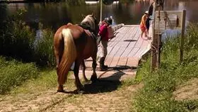 bac ménil chevaux slowlydays TRAIT NATURE