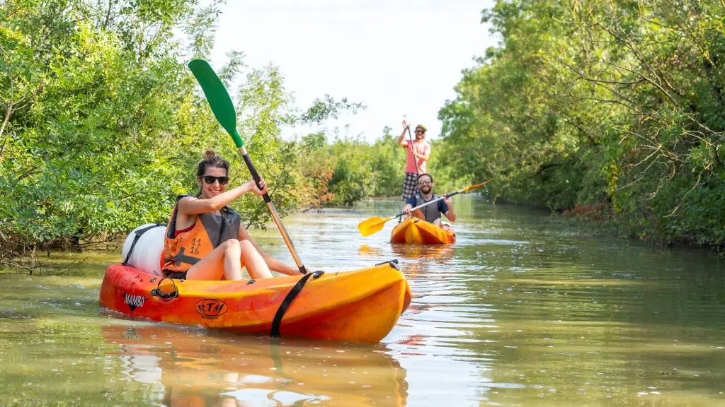 balade-canoes-en-autonnmie-marais-poitevin-vendee