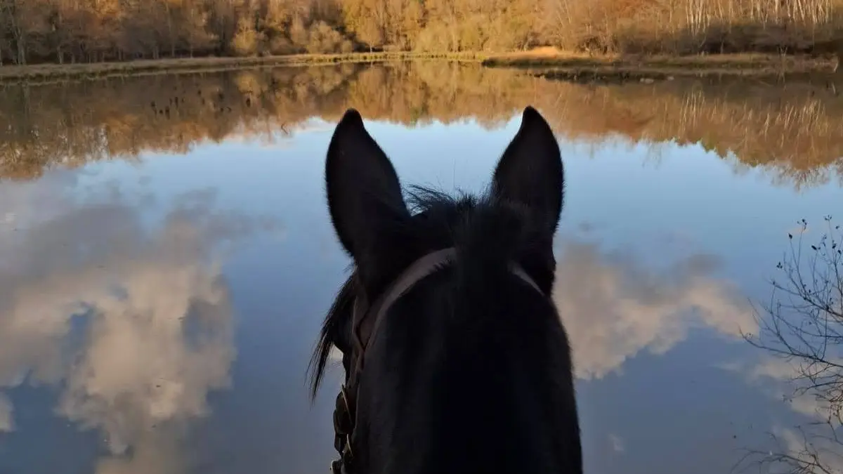 Vue à cheval