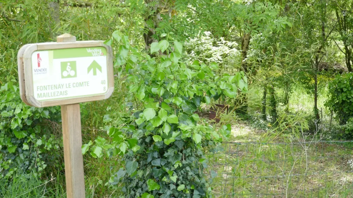 162411 - Piste cyclable vers Maillezais et Fontenay le Comte