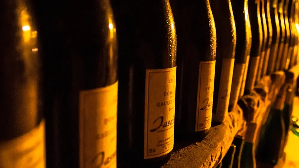 Domaine Lelais_Loir en Vallée