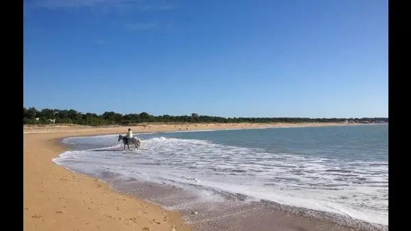 14897 - plage