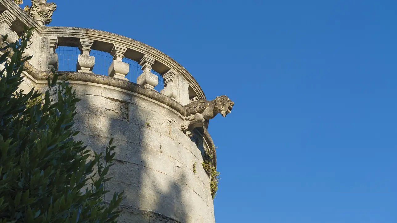 chateau La Roche Racan_3B