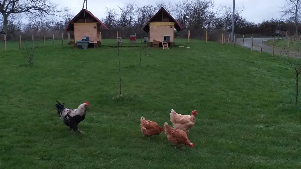 chambre-d-hotes-domaine-médieval-de-la-motte-rives-du-fougerais-85-13