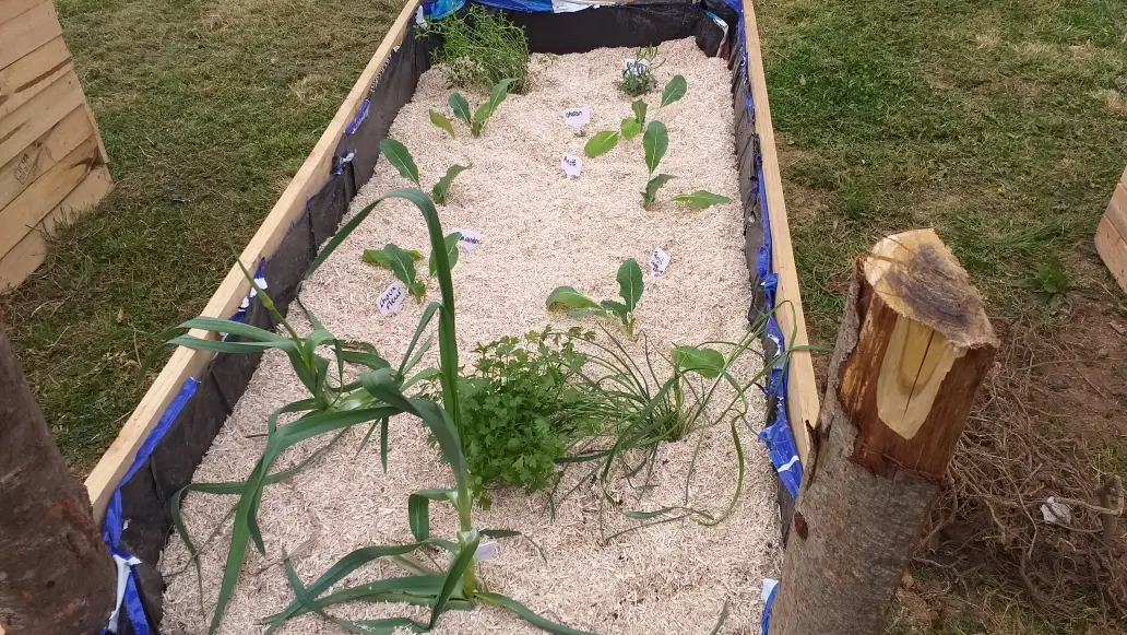 chambre-d-hotes-domaine-médieval-de-la-motte-rives-du-fougerais-85-20