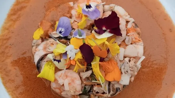 chambre-d-hotes-domaine-médieval-de-la-motte-rives-du-fougerais-85-23