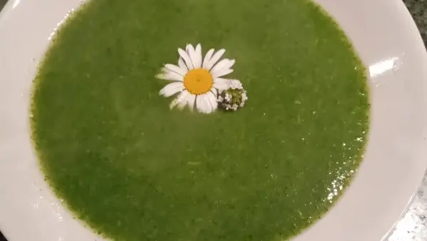 chambre-d-hotes-domaine-médieval-de-la-motte-rives-du-fougerais-85-24