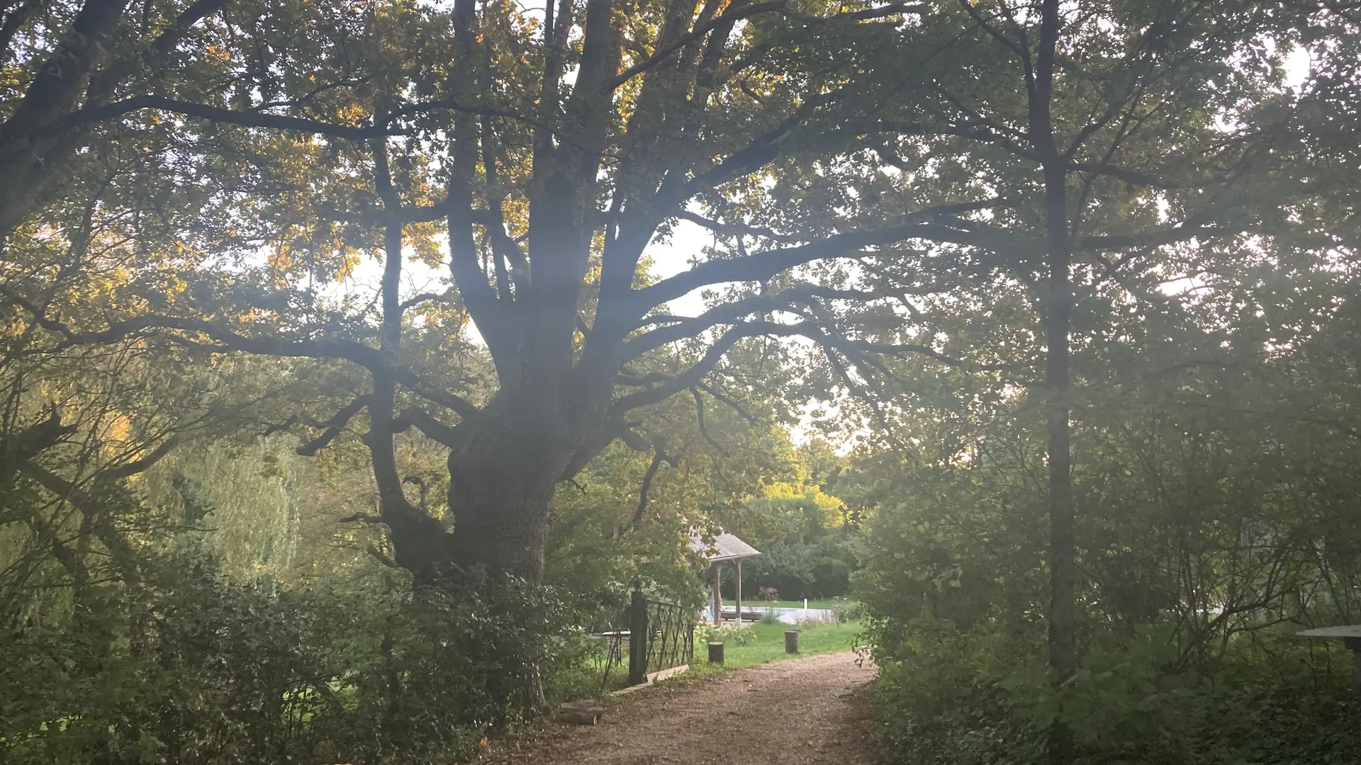 Chambres et table d'hôtes Le Vaux Jouin_chêne
