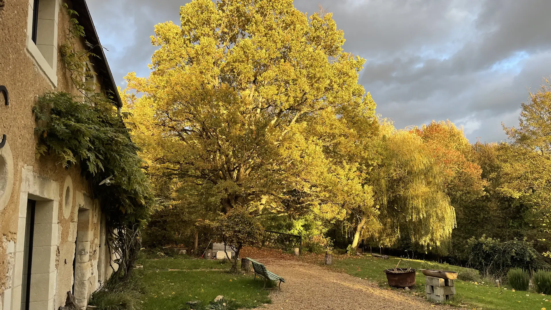 Chambres et table d'hôtes Le Vaux Jouin_chêne jaune