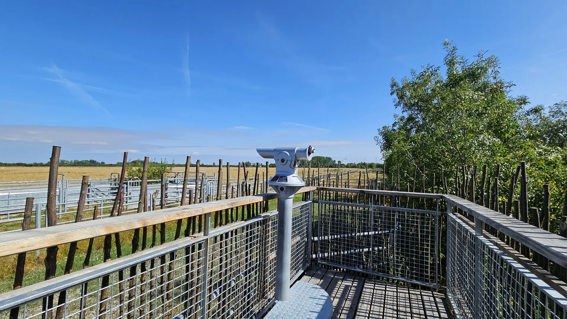 communal-du-poiré-sur-velluire-plateforme-d-observation-vendee-85-1