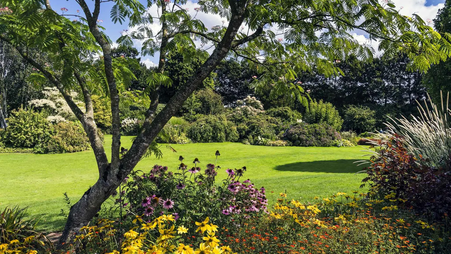 cp jean yves guyard jardins des renaudies colombiers du plessis 53 visite jardin (8)