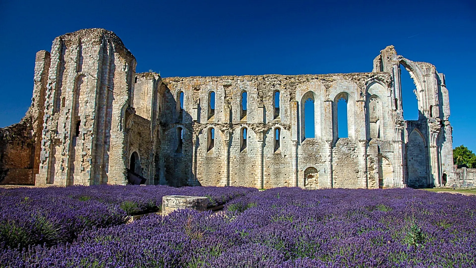 360031 - abbaye Maillezais