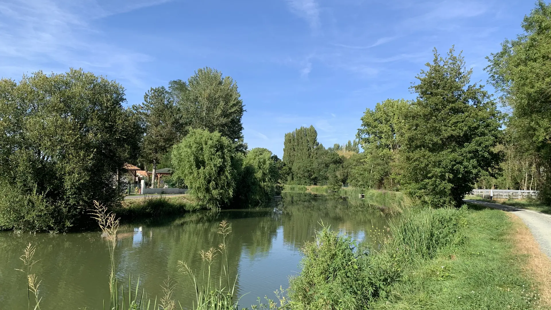 damvix-sentier-pedestre_les_rainettes-OTVGSu ( (3)