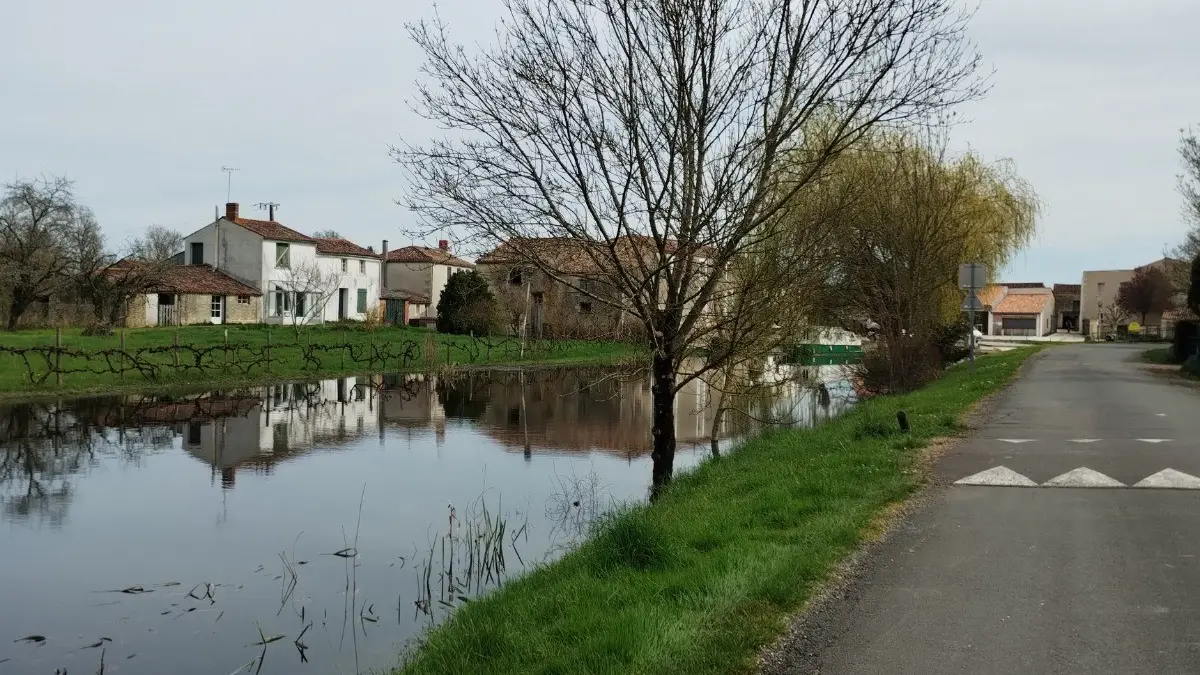 334892 - Rivière l'Autize en face de la maison