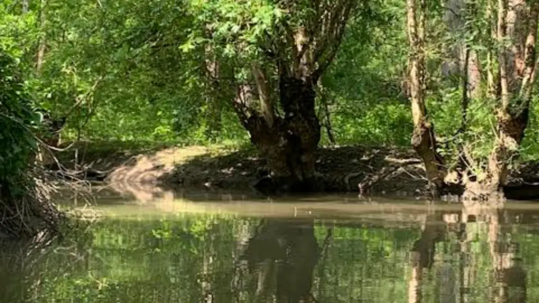 embarcadere-autise-loisirs-souil-marais-poitevin-85- (7)