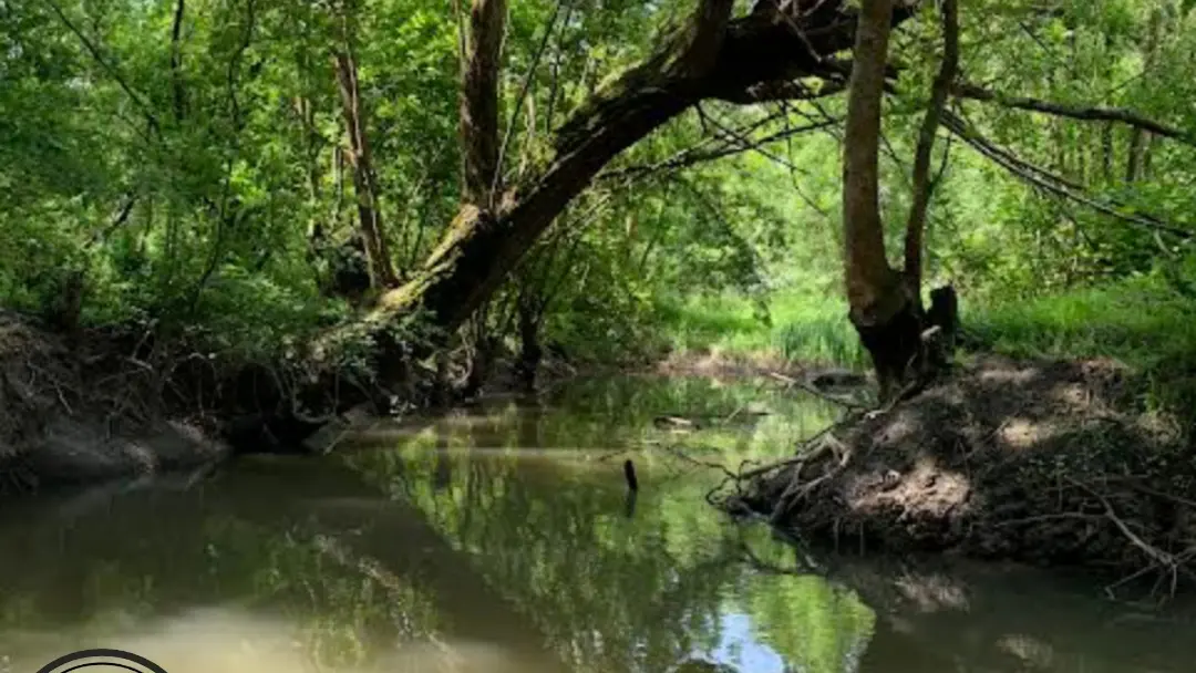 embarcadere-autise-loisirs-souil-marais-poitevin-85- (8)