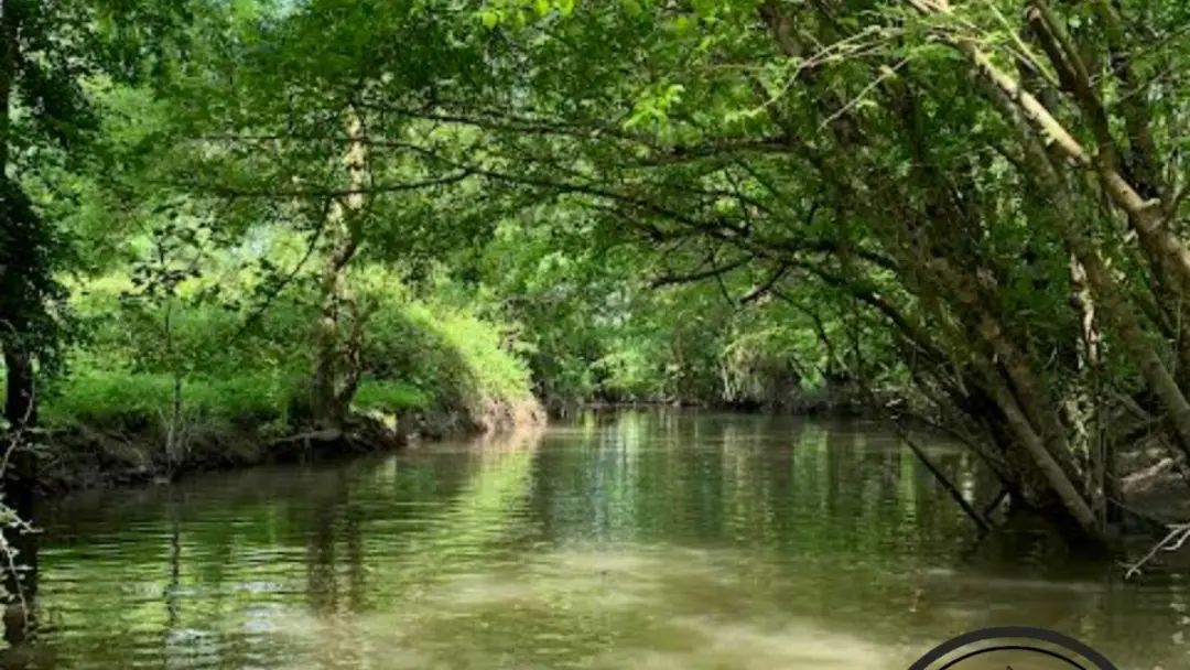 embarcadere-autise-loisirs-souil-marais-poitevin-85- (1)